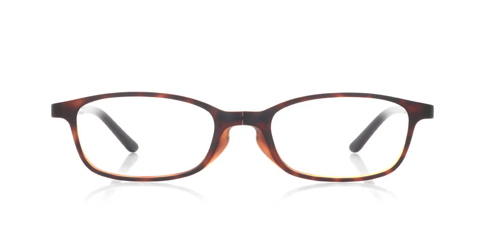Reading Foldable U008 86