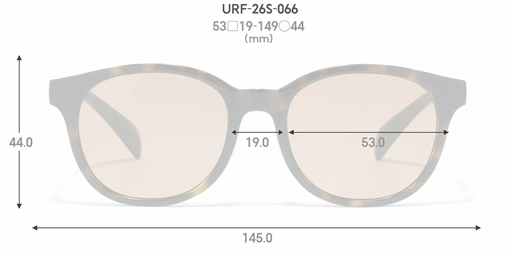 SG STANDARD 066 - Image 3