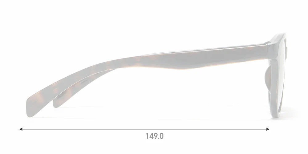 SG STANDARD 066 - Image 4