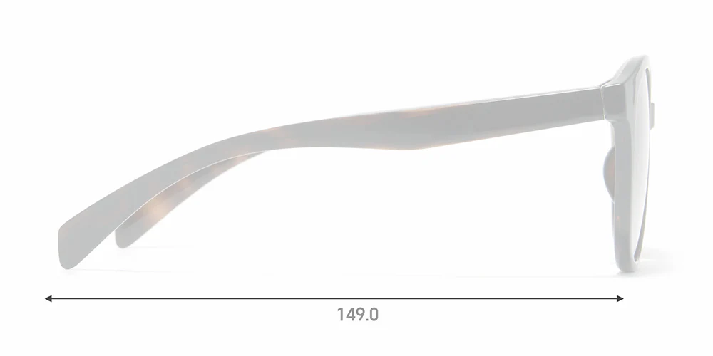 SG STANDARD 067 - Image 4