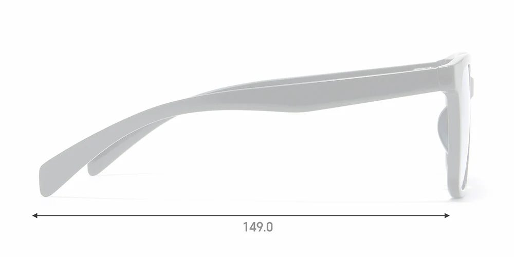SG STANDARD 069 - Image 4